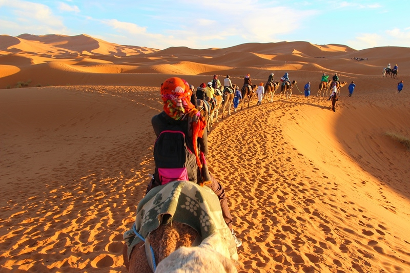 Camel caravan crossing golden sand dunes in desert landscape at sunset with tourists riding camels in single file